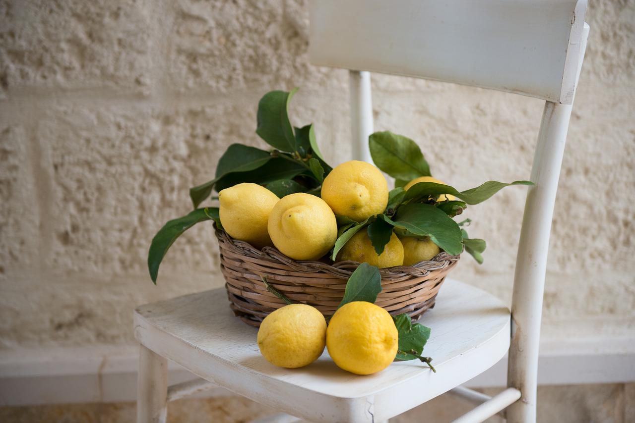 Antica Via Roma B&B E Relax มอนตาลบาโน ภายนอก รูปภาพ